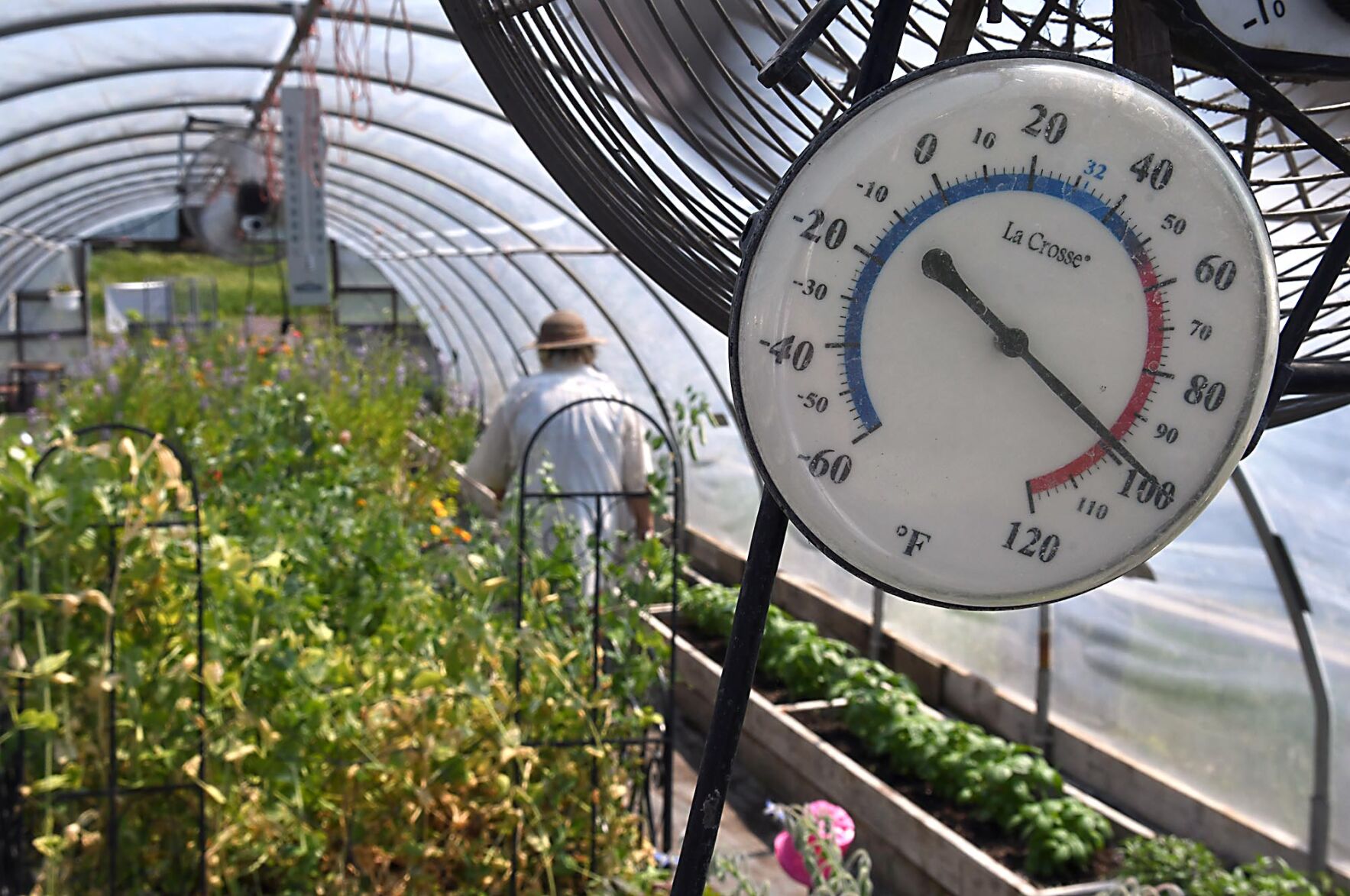 Gardening in the heat 2